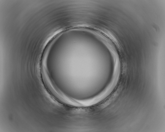 X0000113920806200910151438
