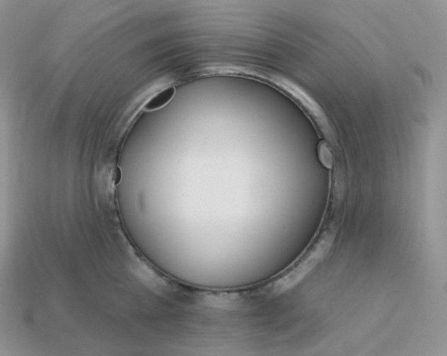 X0000113920809200910151438
