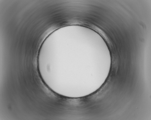 X0000113920810200910151438