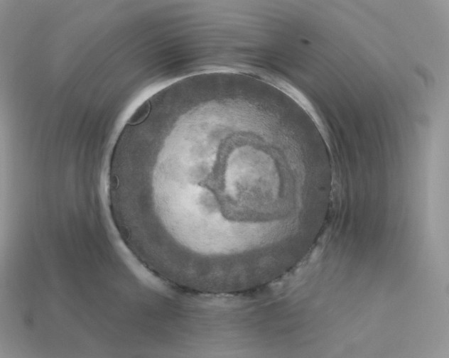 X0000113920811200910151438