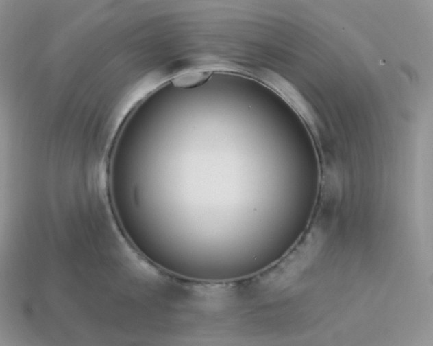 X0000113920813200910151438