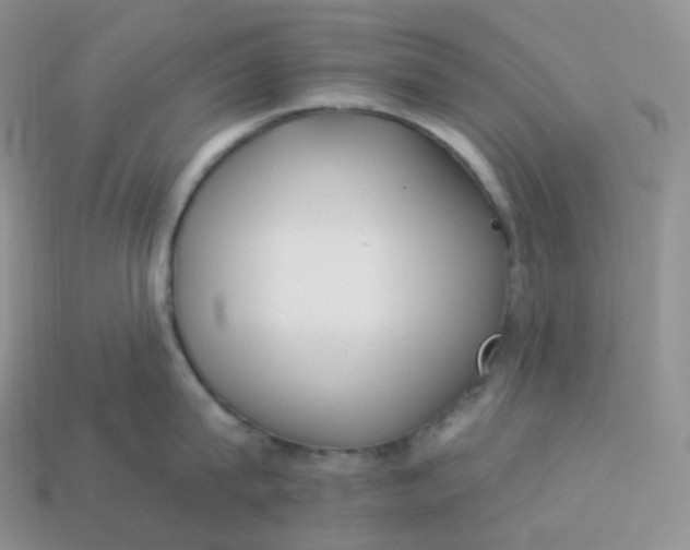 X0000113920815200910151438