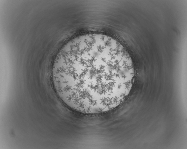 X0000113920817200910151437