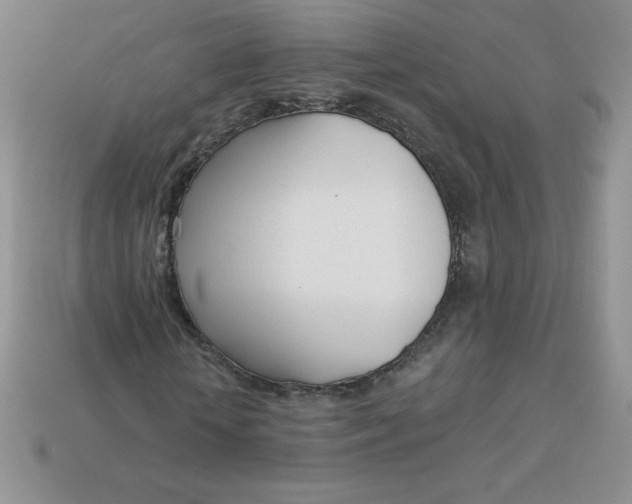 X0000113920818200910151437