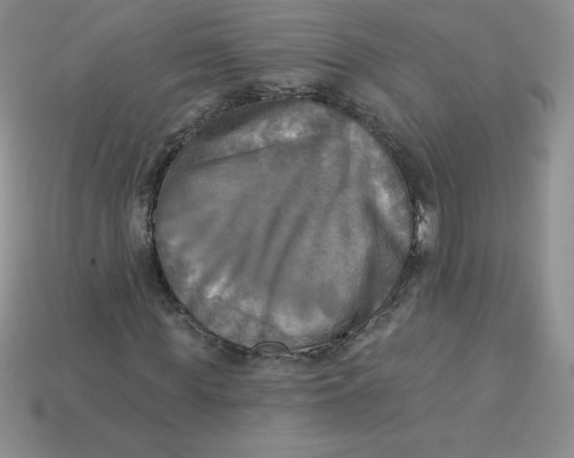 X0000113920819200910151437
