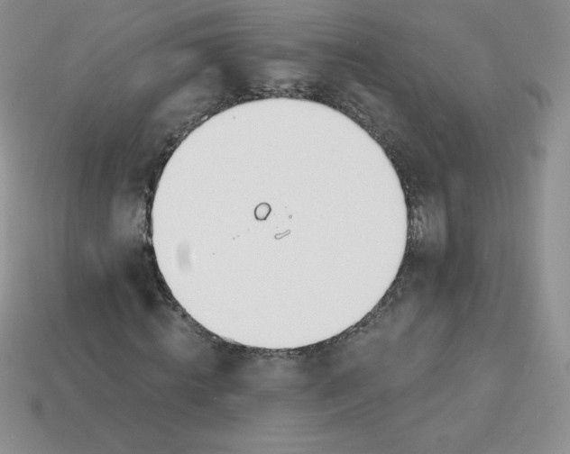 X0000113920820200910151437