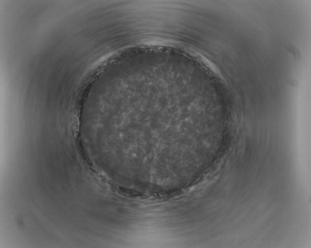 X0000113920821200910151437