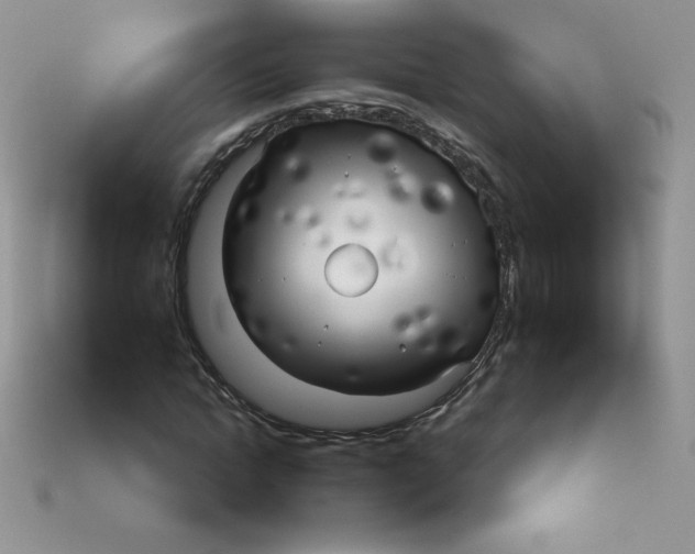 X0000113920822200910151437
