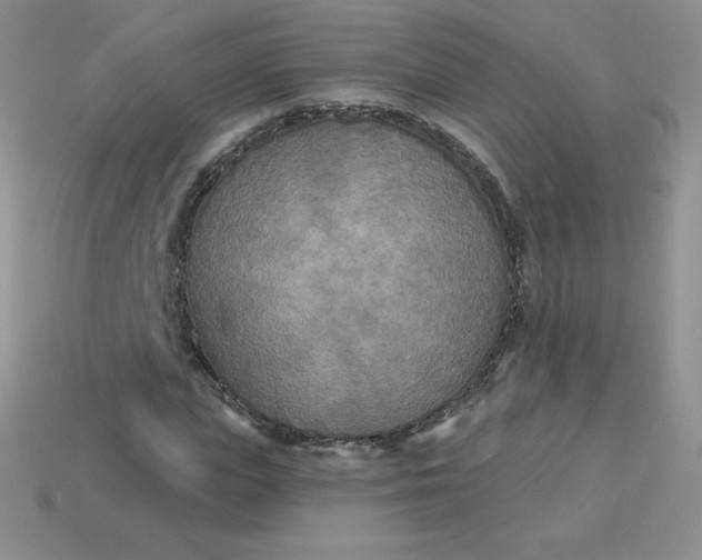 X0000113920823200910151437