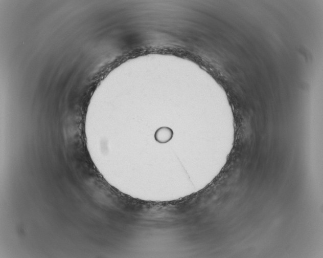 X0000113920824200910151437