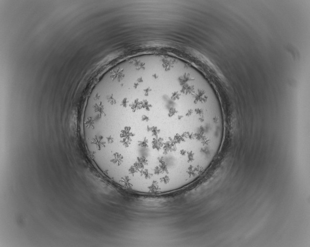X0000113920825200910151437