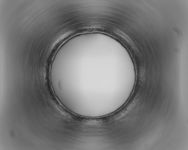 X0000113920826200910151437