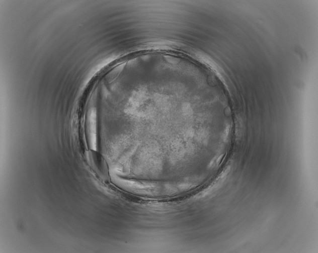 X0000113920827200910151437