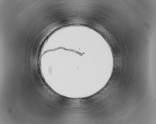 X0000113920828200910151437