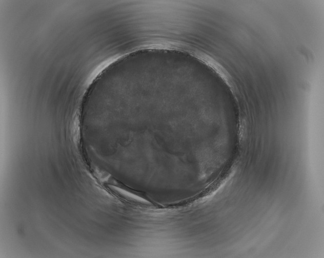 X0000113920829200910151437