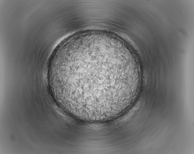 X0000113920830200910151437