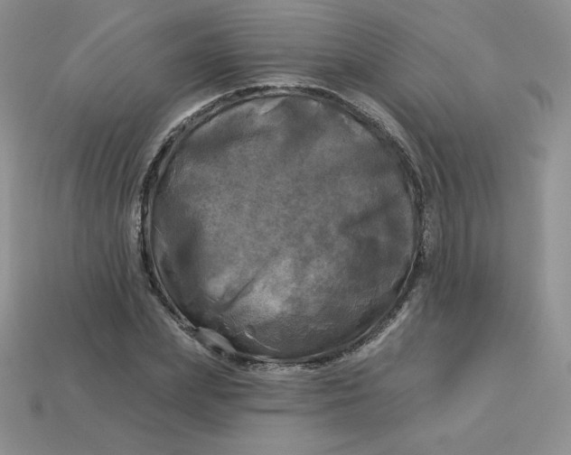 X0000113920831200910151437