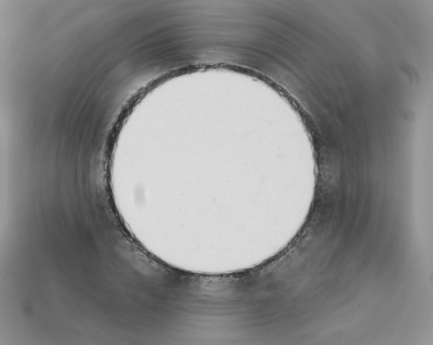 X0000113920832200910151437
