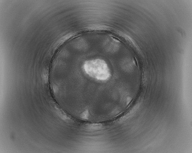 X0000113920833200910151437