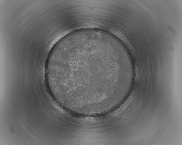 X0000113920834200910151437