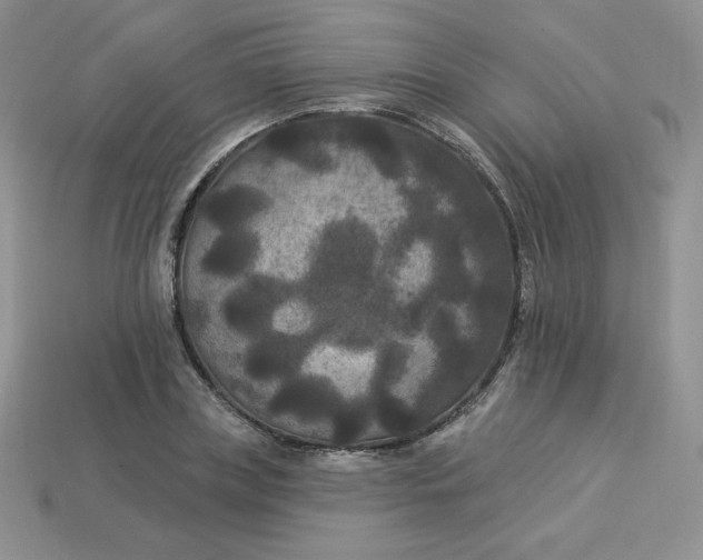 X0000113920835200910151437