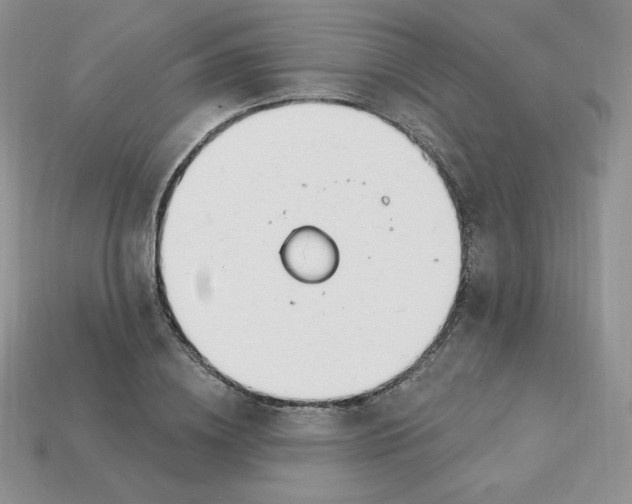 X0000113920836200910151437