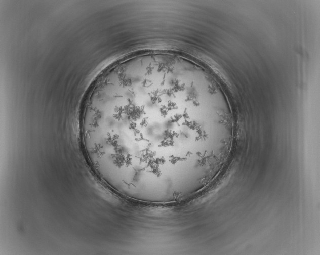 X0000113920837200910151438