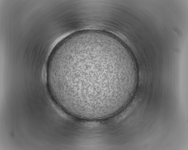 X0000113920838200910151438