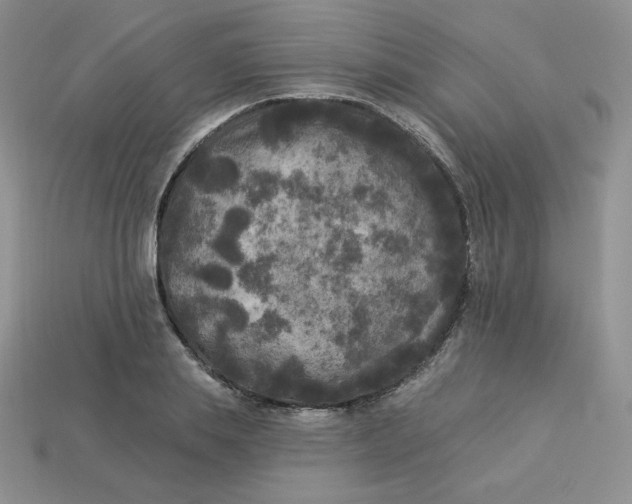 X0000113920839200910151438