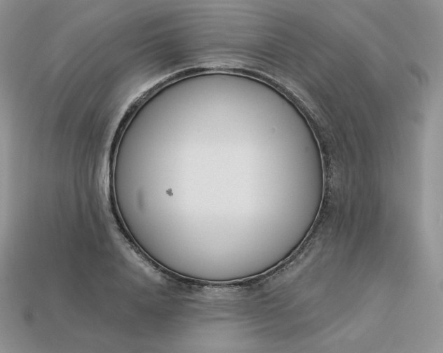 X0000113920840200910151438