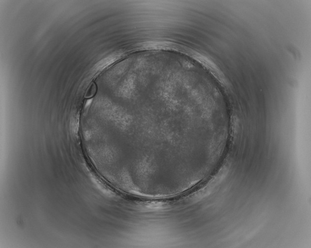X0000113920841200910151438
