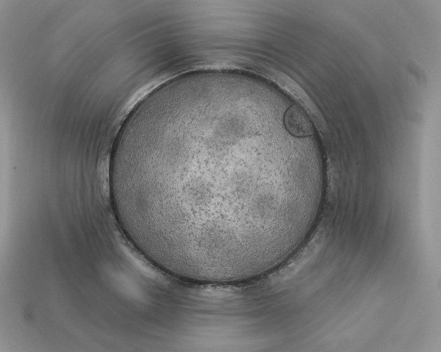 X0000113920842200910151438
