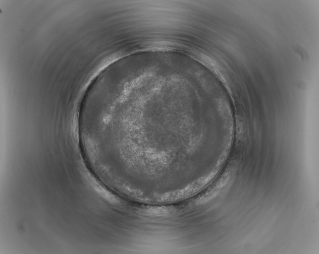 X0000113920843200910151438