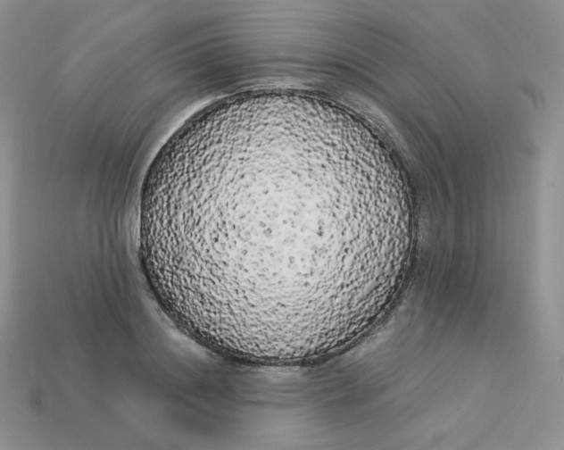 X0000113920844200910151438