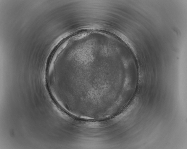X0000113920845200910151438