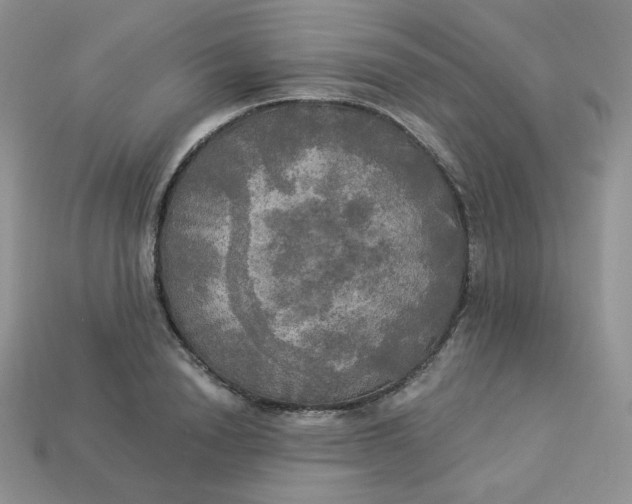 X0000113920846200910151438