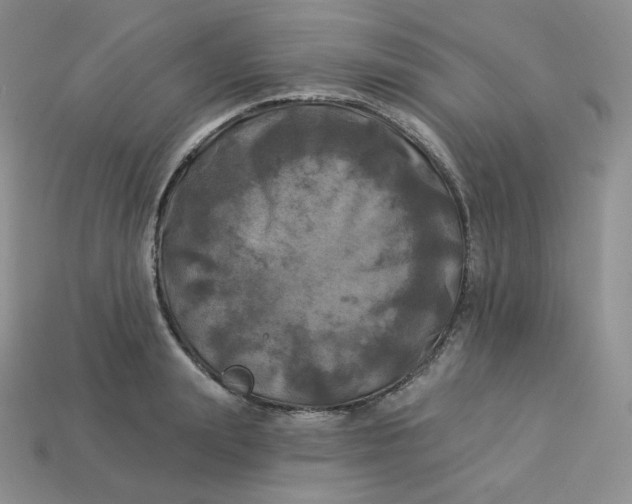 X0000113920847200910151438