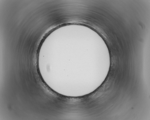 X0000113920848200910151438