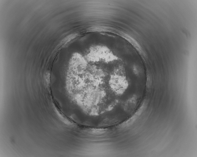 X0000113920849200910151438