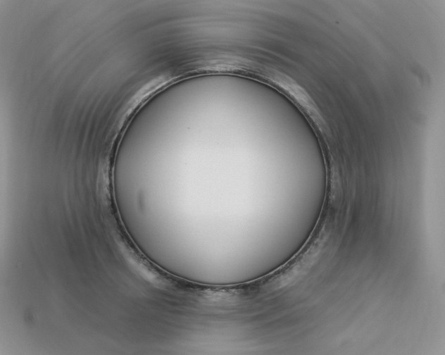 X0000113920850200910151438