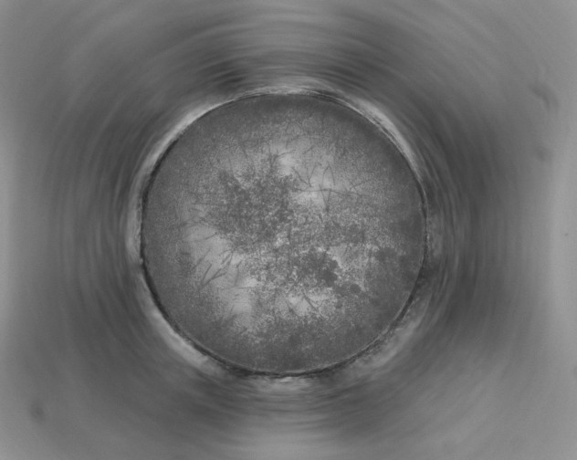 X0000113920851200910151438