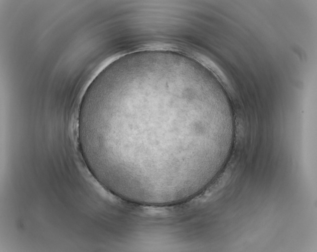 X0000113920852200910151438