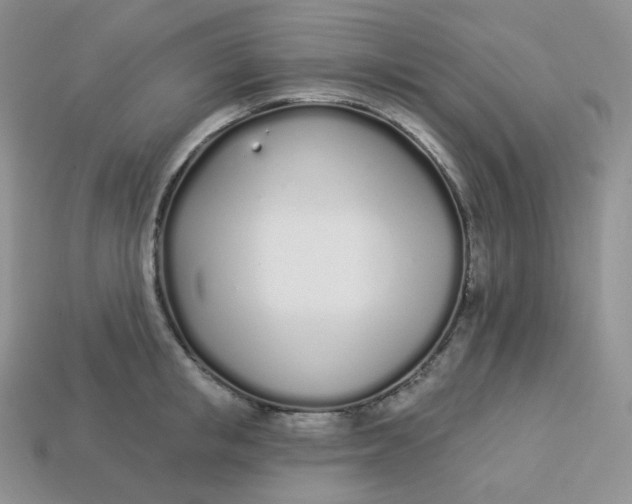 X0000113920853200910151438