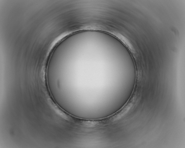 X0000113920854200910151438