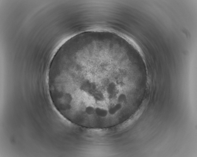 X0000113920855200910151438