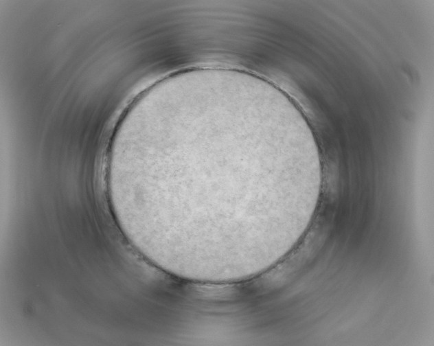 X0000113920856200910151438