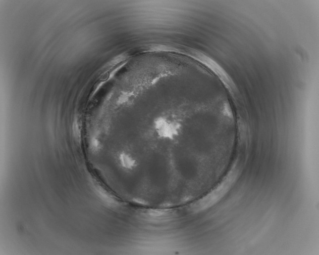 X0000113920857200910151438