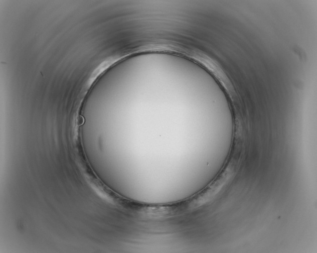 X0000113920858200910151438