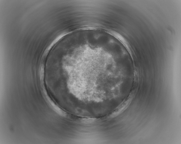 X0000113920859200910151438