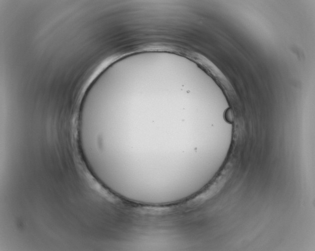 X0000113920860200910151438